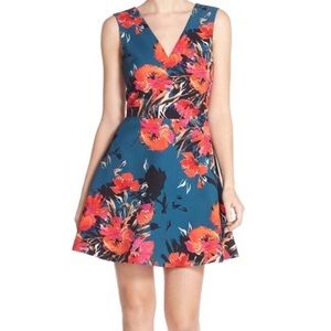 Beautiful Felicity and Coco Dress